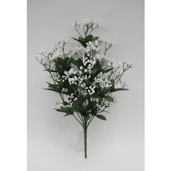 Bulk Buy Baby's Breath Bush box 12