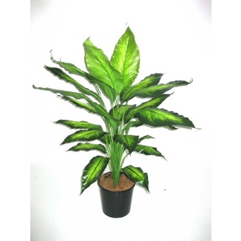 Real Touch Dieffenbachia