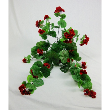 Red Geranium Flat Pac