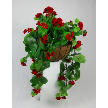 Red Geranium Hanging Basket