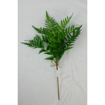 Arrangement Filler Fern