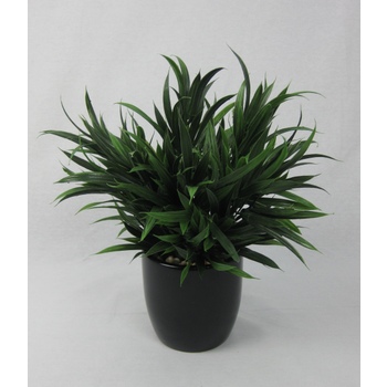 Olive Grass Pot