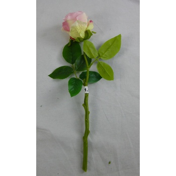 Pink Rose Bud