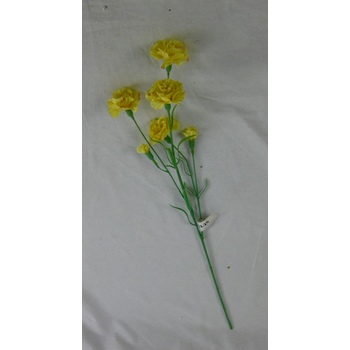 Yellow Carnation