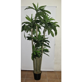 UV Tall Yucca Tree