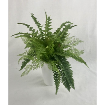 Fern in Fibreglass Container