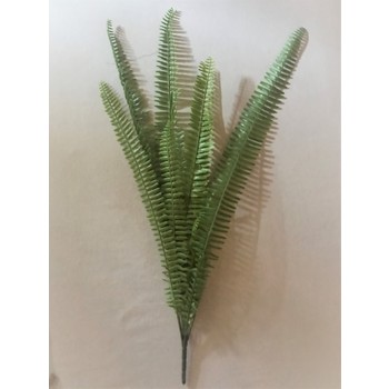 Plastic Fern