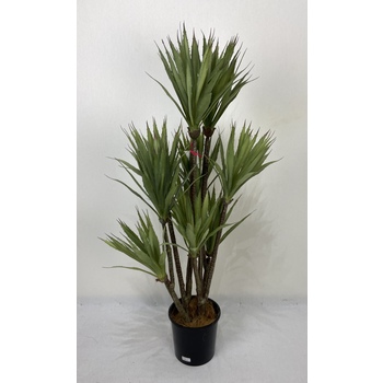 Sisal Tree Double