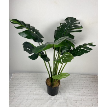 UV Monstera Plant