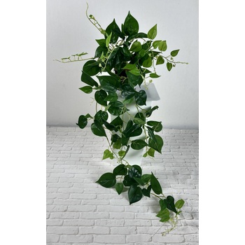 Hanging Green Pothos Trail