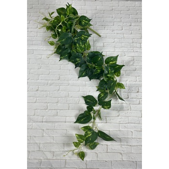 120cm Varigated Pothos Plant