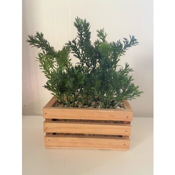 Dark Green Parsley arrangement