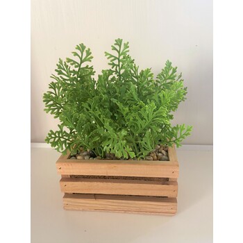 Italian Parsley Arrangement