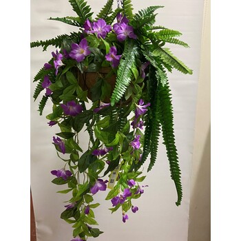 Cerise Morning Glory & Fern Hanging Basket