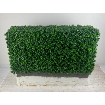 Deluxe Buxus Hedge Insert 