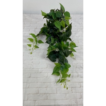 Green Pothos Trail flatpac