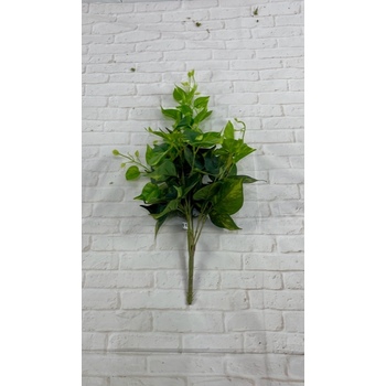 GY Pothos Trail flat pac