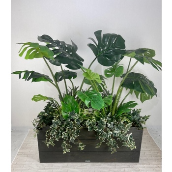 Monstera Garden Planterbox Hire