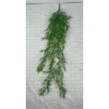 Hanging Ruccus Vine