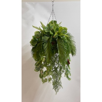 Mixed Fern Hanging Basket