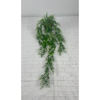 Hanging Eucalyptus Pot